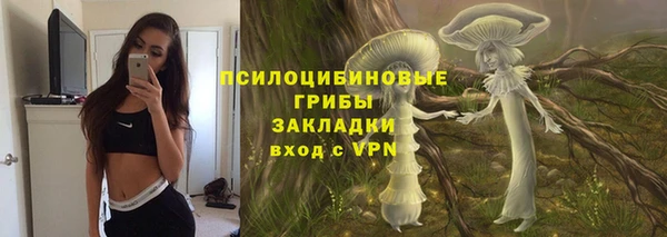 a pvp Алексин