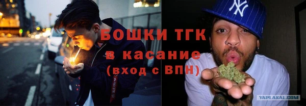 гашик Алзамай