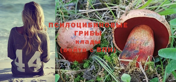 дмт Абинск