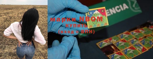 гашик Алзамай