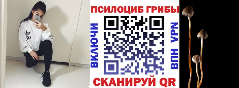 Псилоцибиновые грибы GOLDEN TEACHER  Ахтырский 